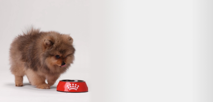royal canin bulldog puppy