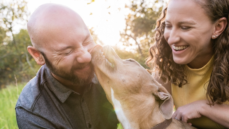 dog and human portraits