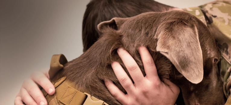 service animal registration