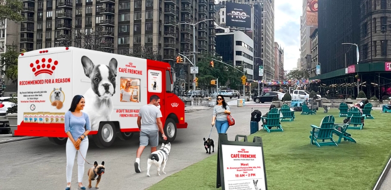 royal canin french bulldog