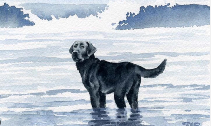 black lab prints paintings