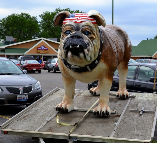 giant bulldog
