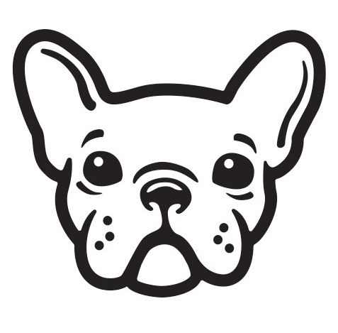 french bulldog face