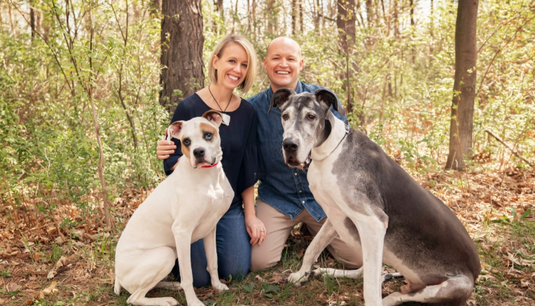 great dane adoption