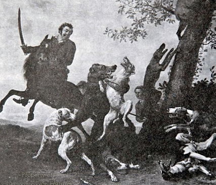 great dane boar hunting