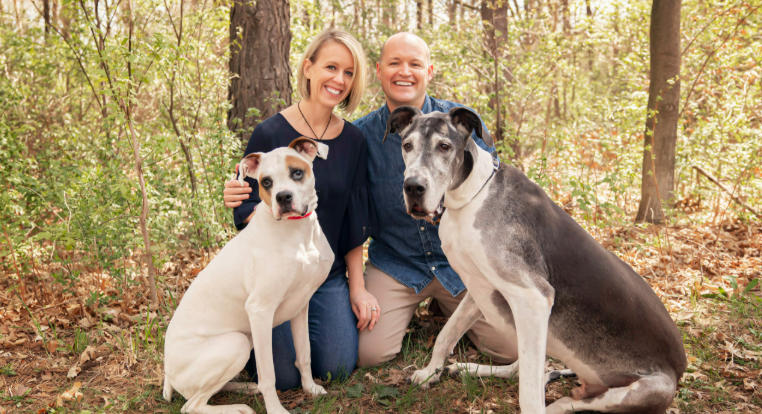 great dane society