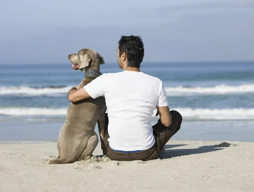 Why Dogs Are Man’s Best Friend