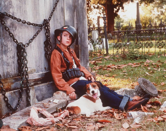 Dogs in Movies and Films