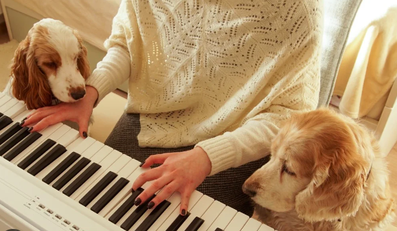Dogs in Music and Songs