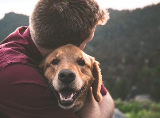 Dogs as Symbols of Loyalty