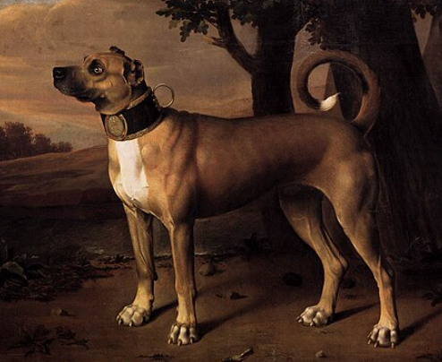 Dogs in Art History