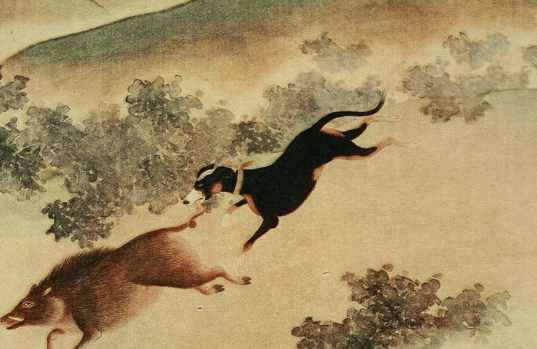 Dog Culture in China