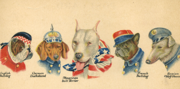 Dogs in Different Countries