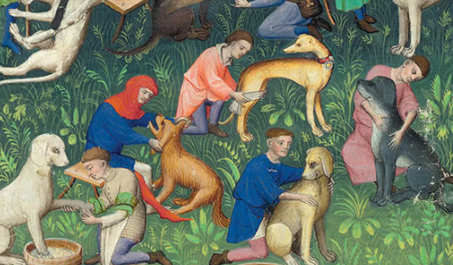 Dog Culture in Medieval Times