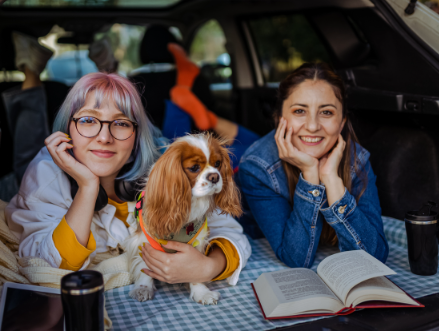 Dogs and Modern Lifestyle
