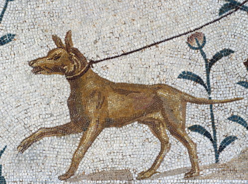 Dogs as Part of Human Culture