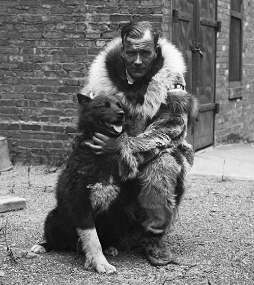 Balto vs Togo: Which Dog Was the Real Hero?