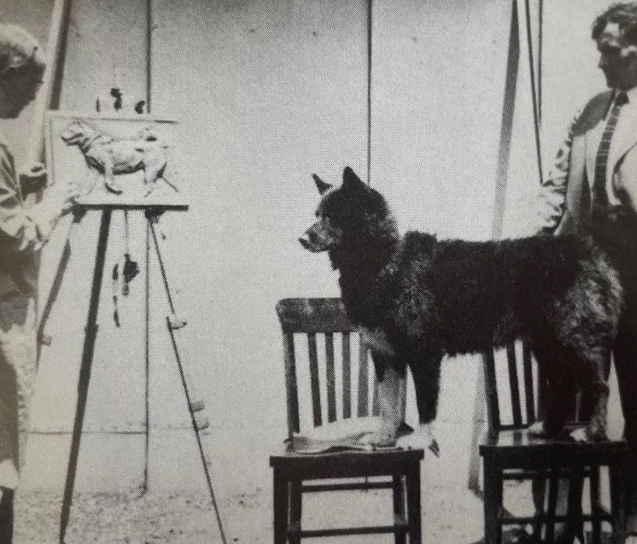 Balto and the 1925 Nome Rescue Mission