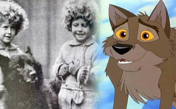 Why Balto Became a Famous Hero Dog