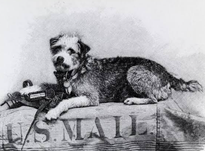Owney the Railway Mail Dog Story