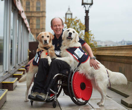 Endal the Dog Who Saved His Disabled Owner