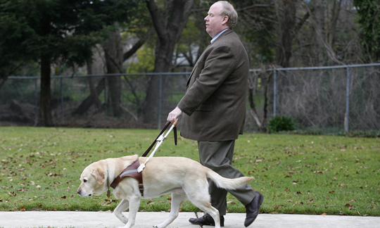 How Roselle Guided Her Owner During 9/11