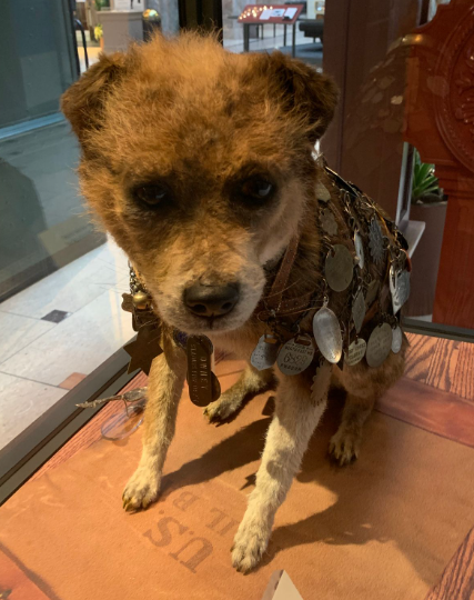 How Owney Became America’s Traveling Dog