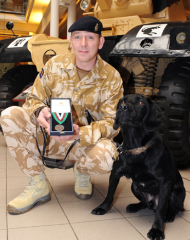 Why Gander Received the Dickin Medal