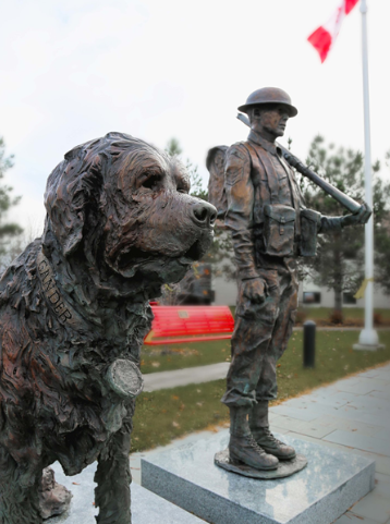 Gander and the Canadian Soldiers Loyalty Story