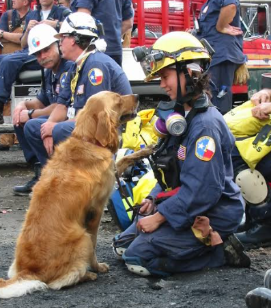 Bretagne the 9/11 Search and Rescue Dog